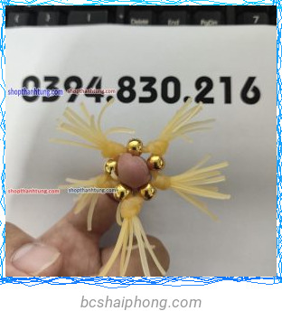 RAU RONG SILICON 6.jpg