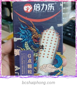 bcs gai.jpg