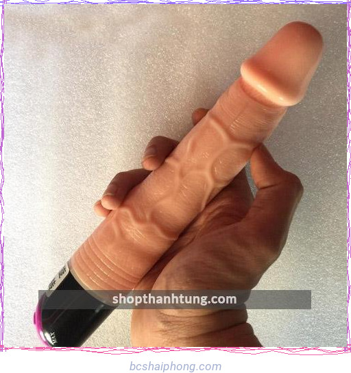 duong vat gia 2 pin ngoay 1.jpg