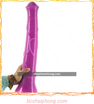 duong vat gia chim ngua 5 fotor 2024072315166.jpg