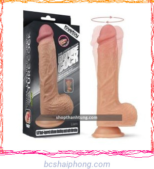 duong vat gia gan tuong ngoay rung Love toy Anthony 7 fotor 20240723203143.jpg