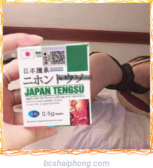 Japan Tengsu tại Hải Phòng
